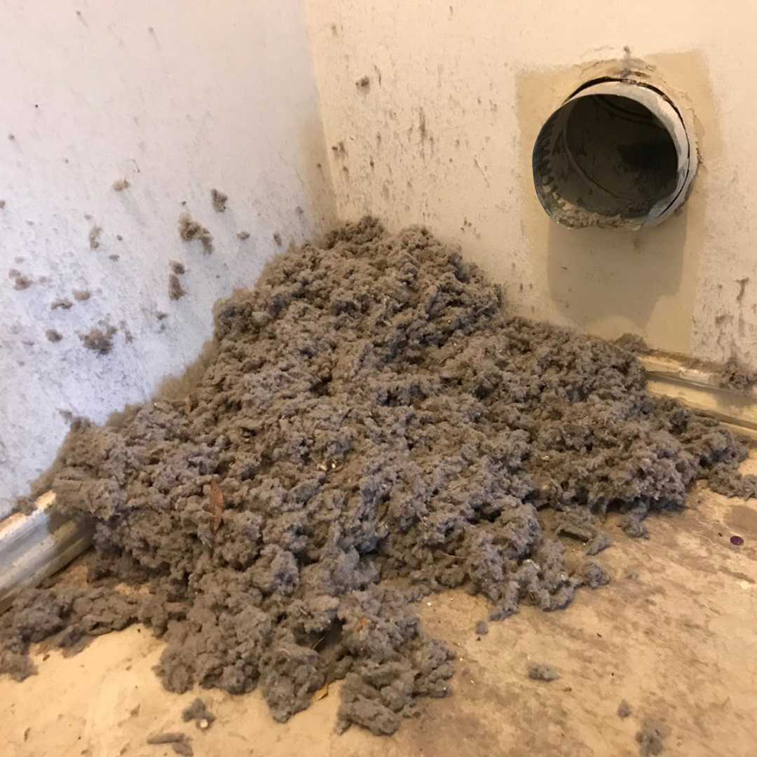 Dryer Vent Cleaning 3