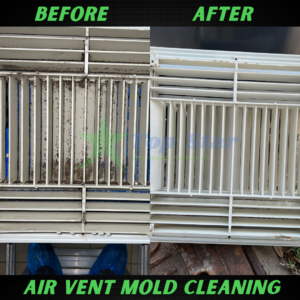mold in your ac ducts and vents