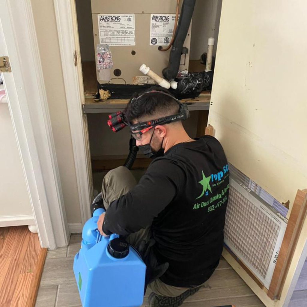 air duct mold cleaning