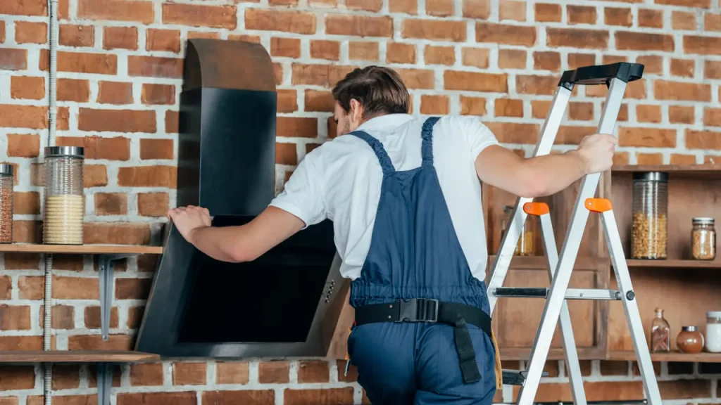 chimney inspection done by a professional