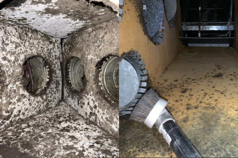 pictures of mold in hvac ducts taken by Top Star Air Pros