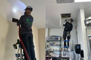 professional mold removal from ac ducts is better than DIY mold removal