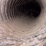 Air duct cleaning project in Baytown TX with mold contamination inside HVAC ductwork